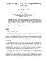 Tội gây rối trật tự công cộng trong luật hình sự