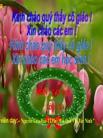 td5: Phong canh den hung