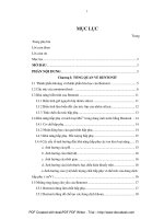 Nghiên cứu khả năng hấp phụ mangan trong dung dịch nước trên Bentonit Bình Thuận