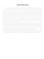 Kế hoạch giảng dạy Anh văn 9 (2010-2011 hoàn chỉnh nhất )