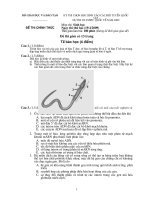 Đề thi HSGQG vòng 2 năm 2009