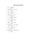 Have got or has got.doc