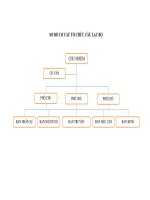 CO CAU TO CHUC   NHIEM VU CAC BAN FMC 