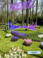 English9- UNIT 8 Listen&read