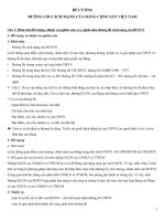 ĐỀ CƯƠNG đường lối cm vủa dcsvn 