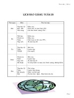 Giáo án lớp 1 tuần 28