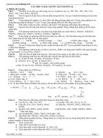 Bài tập Tự luận ôn tập chương N-P  (Chọn lọc -không đáp án)