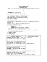 KH 5. Bài 57. Cây con có thể mọc lên từ một số bộ phận của cây mẹ (Hội giảng)