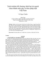 Trách nhiệm bồi thường thiệt hại do người  chưa thành niên gây ra theo pháp luật  Việt Nam