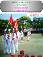 Bài 12. CƠ CHẾ XÁC ĐỊNH GIỚI TÍNH