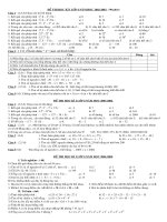 đề thi Số học 6 HKI