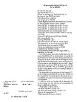 Báo cáo thành tích cá nhân mới nhất