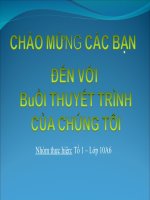 Tầng ozone