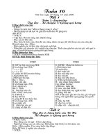 tuần 10 lớp ghép 2+3