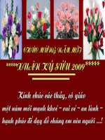 Noi cac ve cau ghep bang quan he t­u