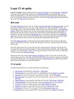 LOẠN 12 SỨ QUÂN