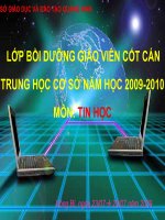 BD GV cot can Tin THCS 2009