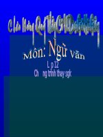 Đàn ghita của Loxca