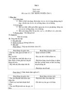 Hình 10 cơ bản -THAN