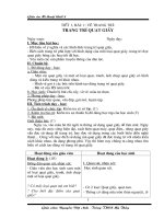 MY THUAT 8 (Tron bo - rat chi tiet)