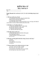 Kiểm tra 15 phúth( HK I)