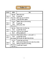 Tuần 12 Lớp 5