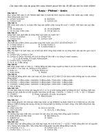 Trọn bộ ancol-phenol-amin cho hs12