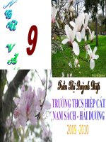 Tieu doi xe khong kinh (van 9)