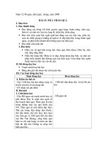 Giao anTV5 tuan 12(Moi)