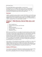 Web servers, server-side java and mỏe