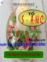 Bài 14: VN sau CTTG I