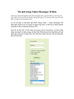Nét mới trong Yahoo Messenger 10 Beta