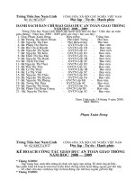 Bao cao an toan giao thong 2008-2009