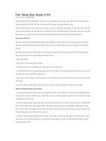 CAC DANG DAU BUNG O TRE