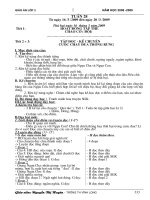 Giáo án 3 Tuần 28 -30