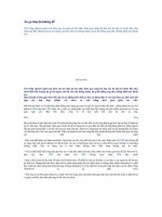 CHO BÉ ĂN GÌ ? CHUYỆN KHÔNG PHẢI DỄ