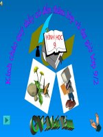 tiết 44 góc có đỉnh.........