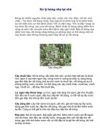 Xử lý bỏng nhẹ tại nhà