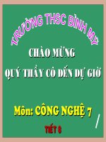 san xuat va bao quan giong cay trong