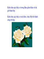 CONG THUC NGHIEM CUA PHUONG TRINH BAC HAI