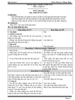 GA lop 5 Tuan 7 CKTKN (thanh)