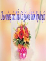 TỰ NHIÊN ĐÔNG NAM A