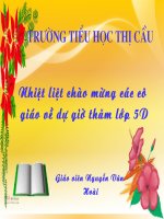 KỲ DIỆU RỪNG XANH