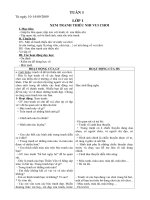 GA Mi thuat 1-5 tuần 1