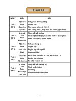Tuần 14 Lớp 5