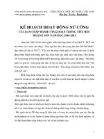 Kế hoạch nu công