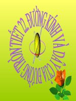 Tiet 22. Duong kinh va day cung