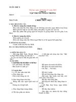 giao an lop 2, tuan 5