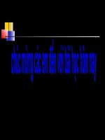 PHAN TICH MOT SO RA TSNT