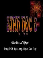 bài 28: tiêu hóa ở ruột non